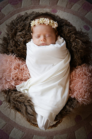 Delaney [newborn] 113