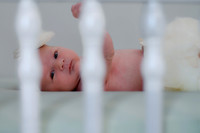 Amelia newborn images 136