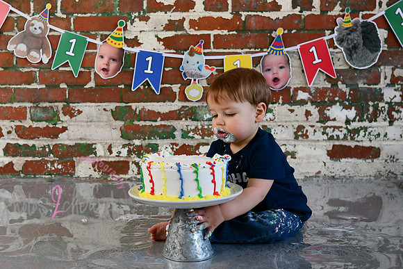Logan 1st Birthday 215