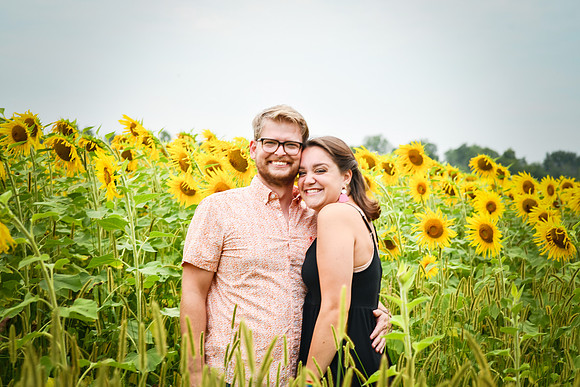 Sunflowers [margaret & drew] 023