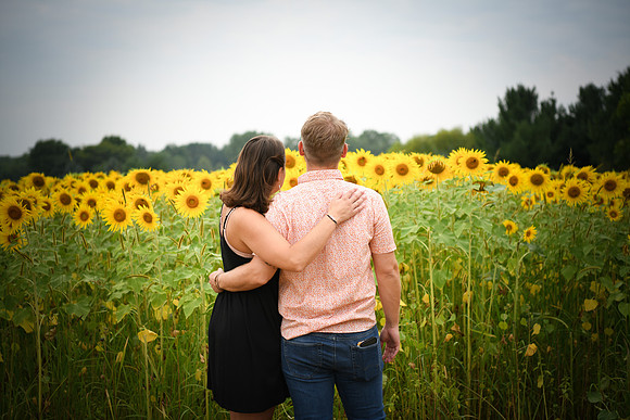 Sunflowers [margaret & drew] 125