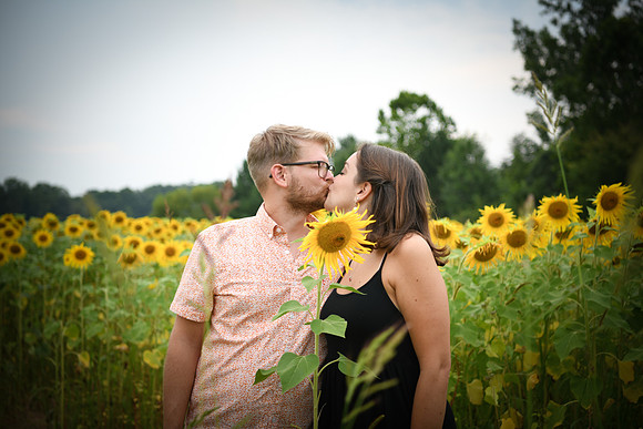 Sunflowers [margaret & drew] 146