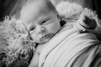 twins [newborn] photos 004