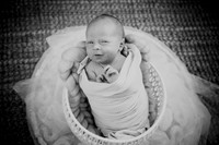 twins [newborn] photos 007