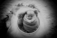 twins [newborn] photos 011