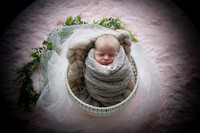 twins [newborn] photos 012