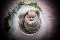 twins [newborn] photos 013