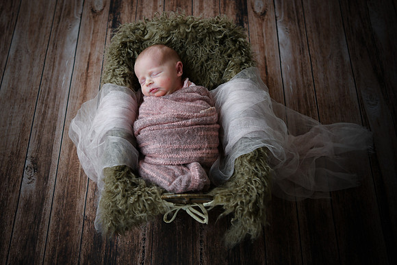 twins [newborn] photos 029