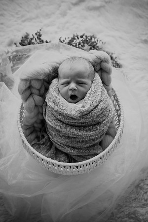 twins [newborn] proofs 027