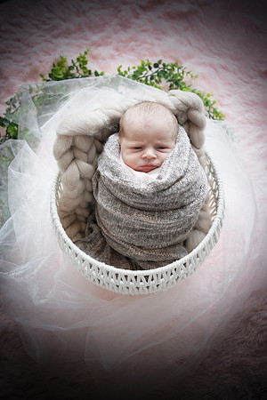 twins [newborn] proofs 034