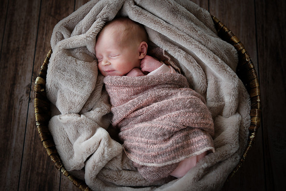 twins [newborn] proofs 065
