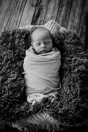 twins [newborn] proofs 089