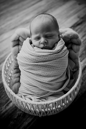 twins [newborn] proofs 113
