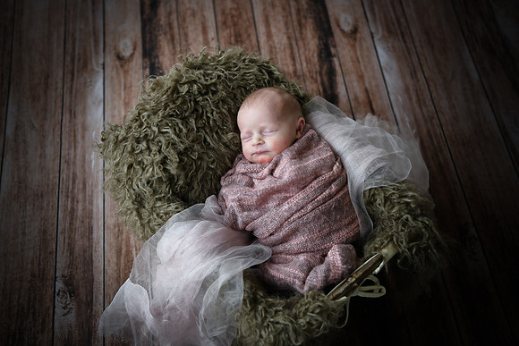 twins [newborn] proofs 121