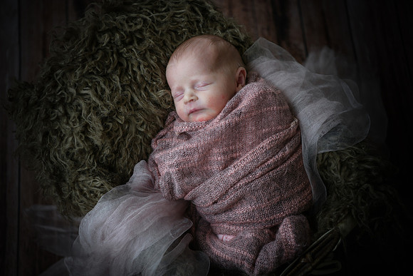 twins [newborn] proofs 126
