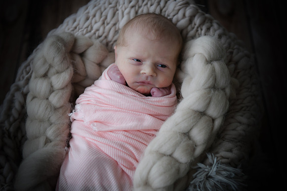 twins [newborn] proofs 135