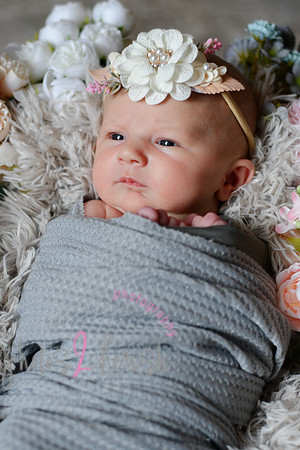 Amelia [newborn] images 022