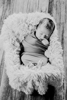 Anthony [newborn] 018