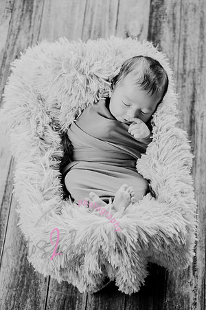 Anthony [newborn] 018