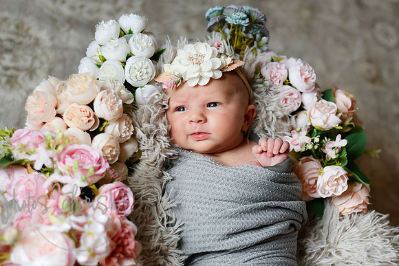 Amelia [newborn] images 044