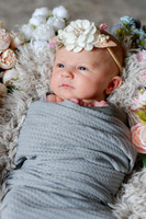 Amelia [newborn] images 020