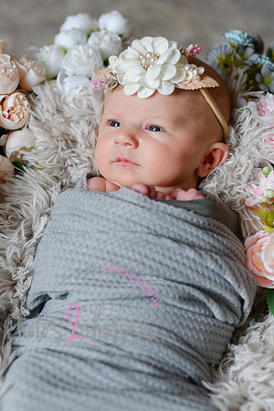 Amelia [newborn] images 020