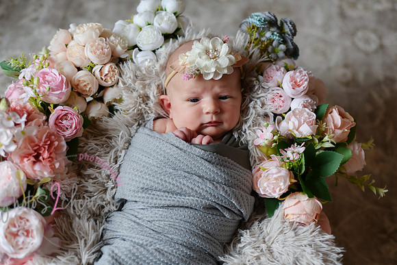 Amelia [newborn] images 035