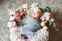 Amelia [newborn] images 012