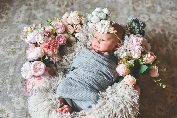 Amelia [newborn] images 012