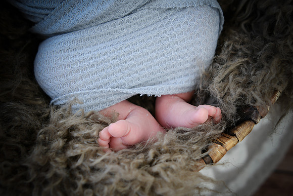 Zain [newborn] proofs 291