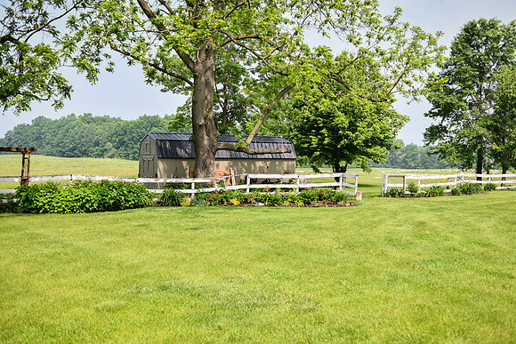 Carter & Marlah Wedding Photos [grounds] 033