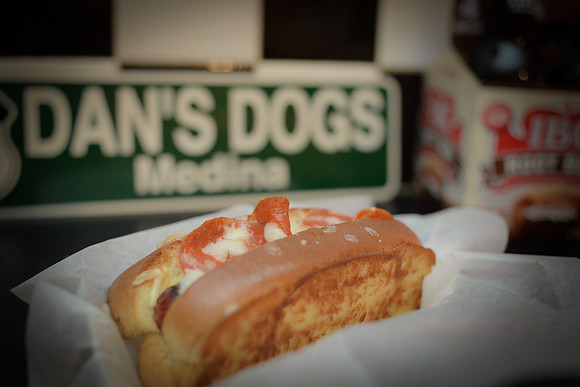 dans dogs [other dogs] 24