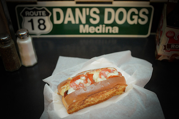 dans dogs [other dogs] 27