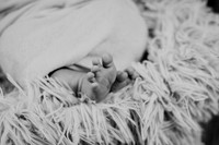 Noah Newborn 019