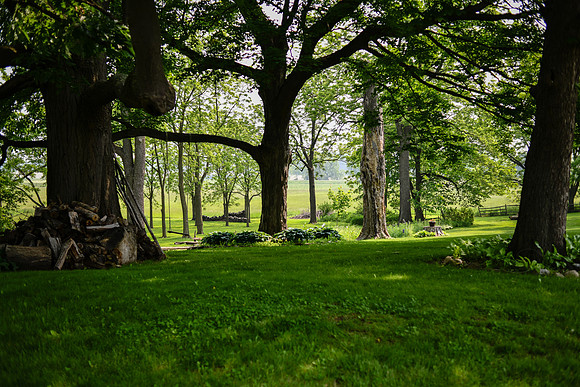 Carter & Marlah Wedding Photos [grounds] 046