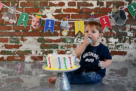 Logan 1st Birthday 221