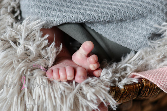 Amelia [newborn] images 023