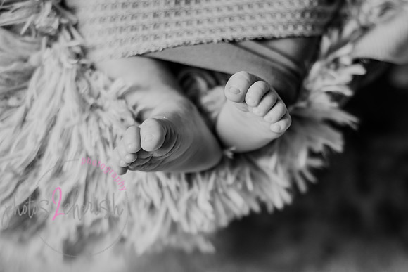 Amelia [newborn] images 032