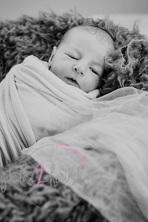 proofs 031