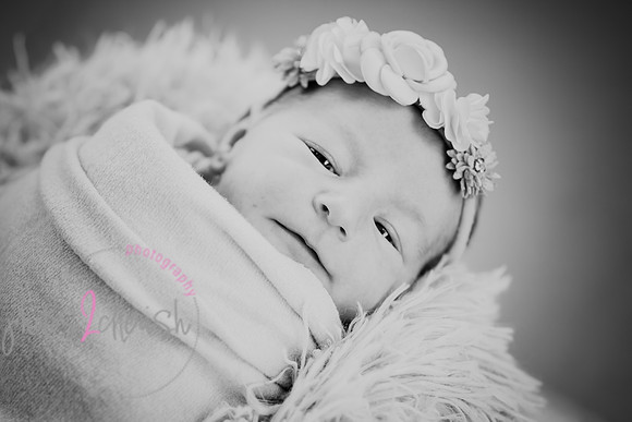 proofs 060