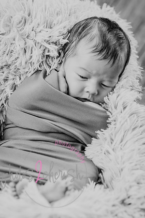 Anthony [newborn] 048