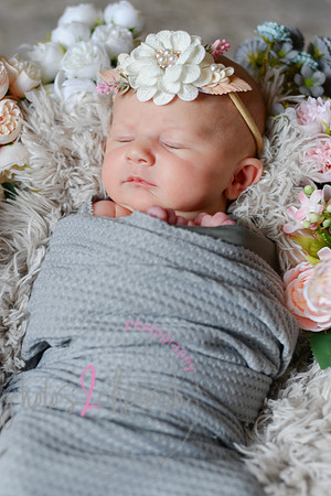 Amelia [newborn] images 021