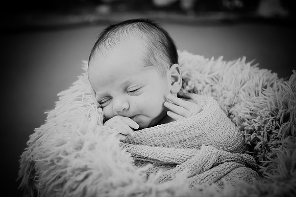 Brynn [proofs] 117