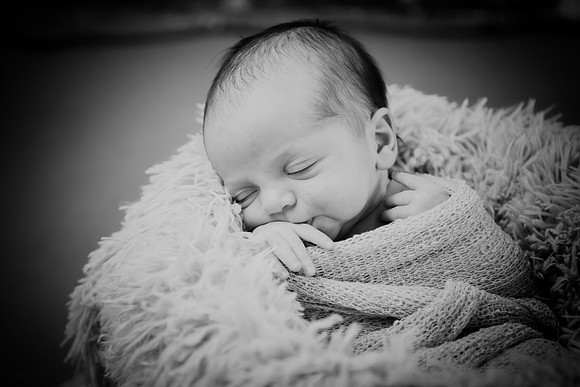 Brynn [proofs] 118