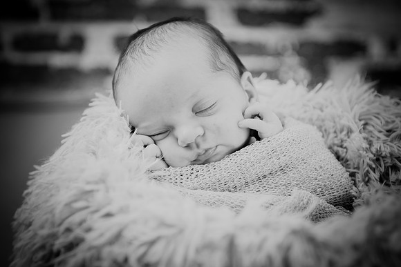 Brynn [proofs] 121