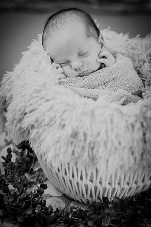 Brynn [proofs] 135
