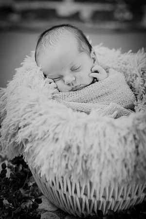 Brynn [proofs] 141