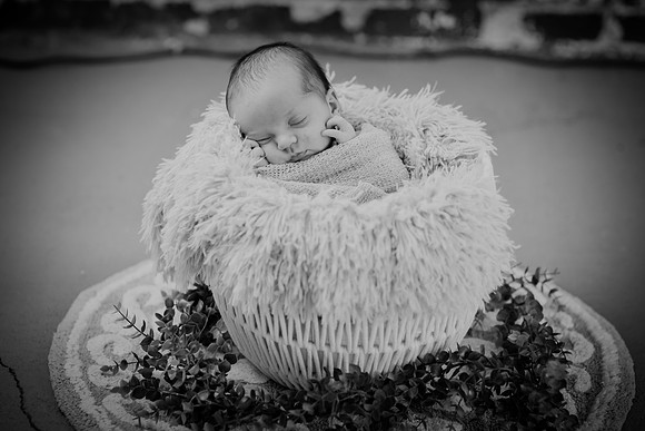 Brynn [proofs] 142