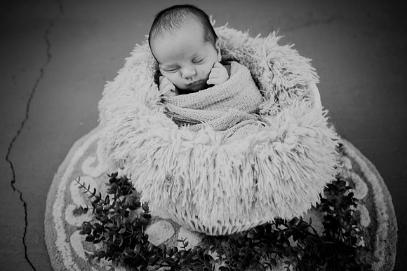 Brynn [proofs] 168