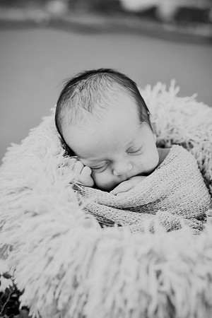 Brynn [proofs] 174
